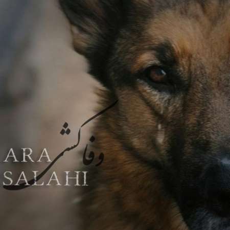 Ara Salahi – Vafa Koshi